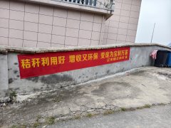 镇正在市场设立“有事来筹议”宣传点