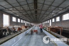 做好平安出产储转运台账记实